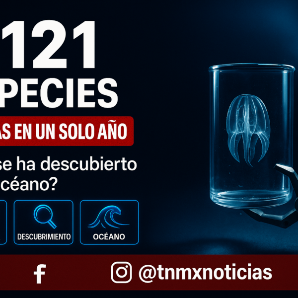 Ocean Census: 1,121 nuevas especies marinas halladas en un año